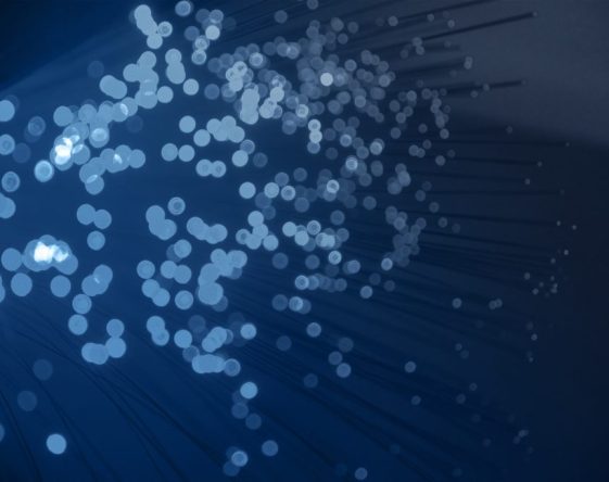 DDM_Digitales Datenmanagement